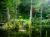 癒しの森】散策路の奥に佇む神秘の池。7月中旬〜下旬には池の周辺でホタルを見ることが出来ます