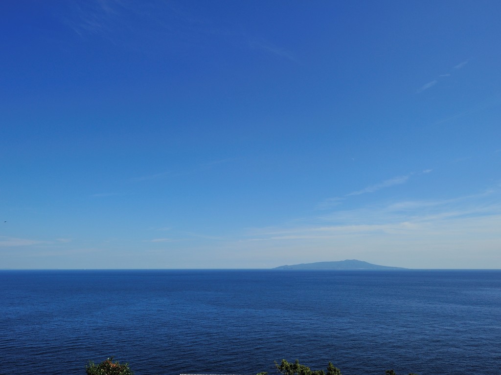 大海原と伊豆大島の大パノラマを眼前に望む、伊豆随一の絶景！
