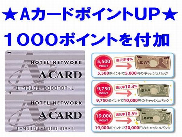 �`�J�|�h1000�|�C���g�t�v����