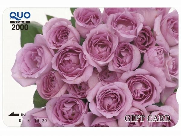 �p�t�n�J�|�h2000�~�t�v����