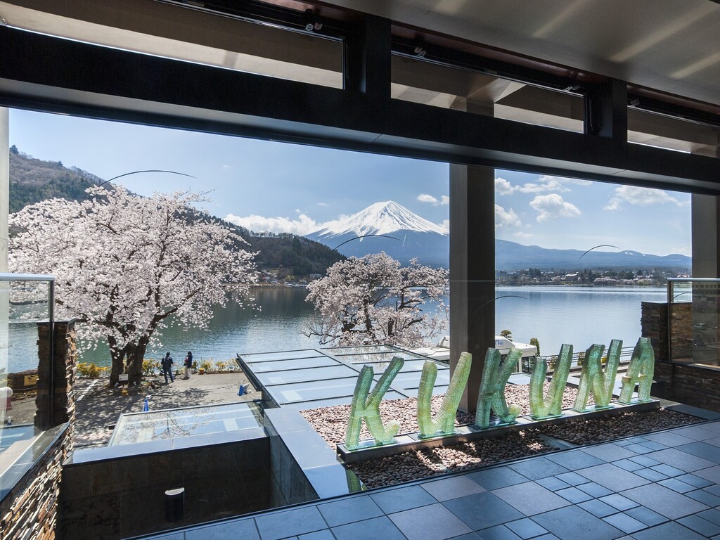 レストラン回廊から眺める桜と富士山