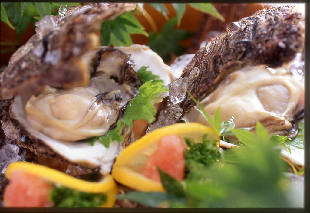 夏の味覚岩牡蠣