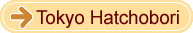 Hacchobori